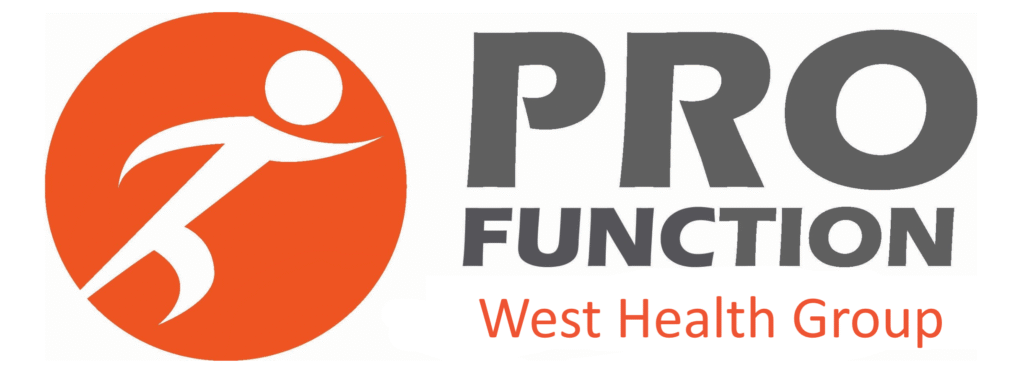 Logo for Pro Function